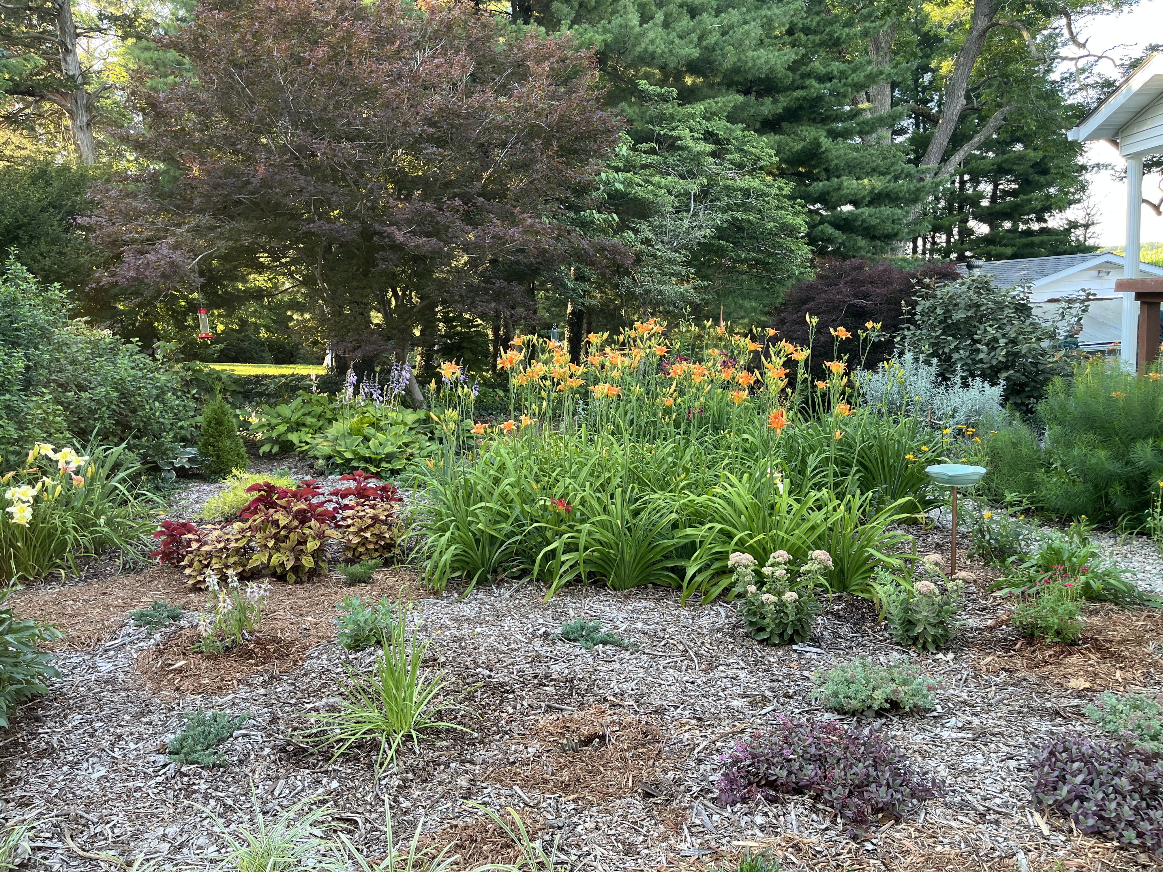 Garden photo